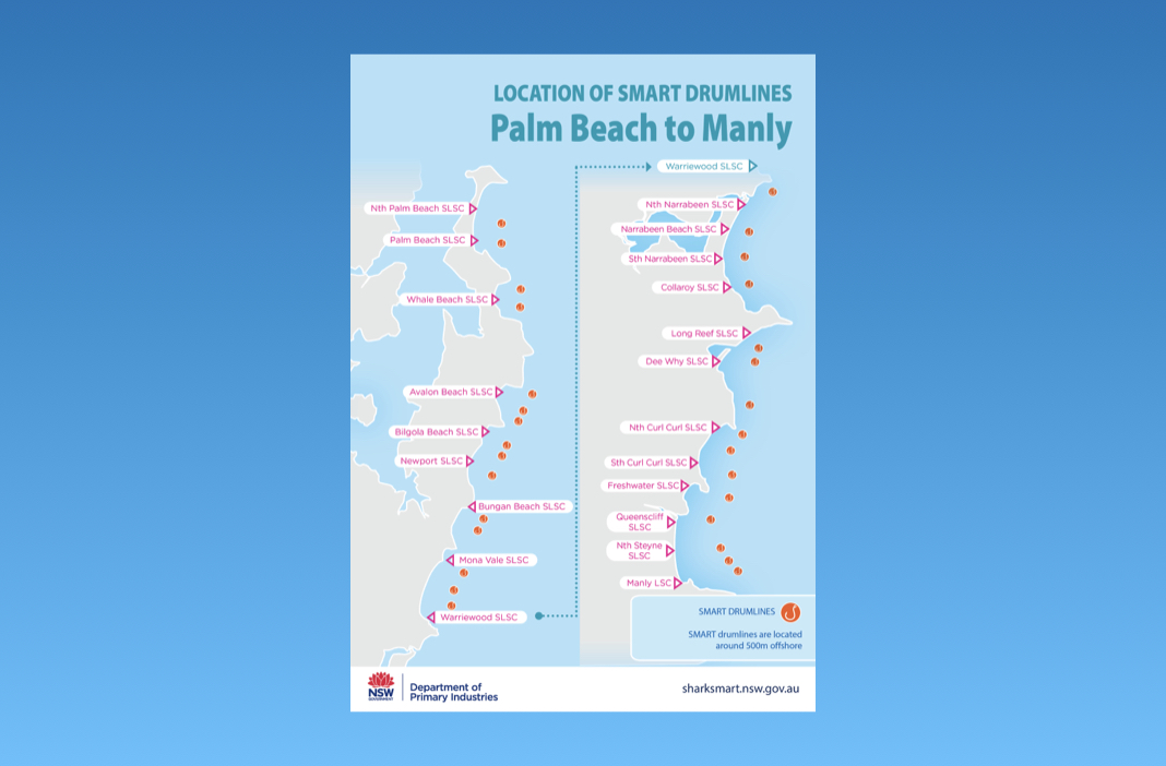 Map Smart Drumlines Palm Beach to Bondi