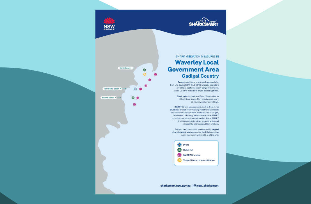 Map of Shark Mitigation Measures in Waverley LGA