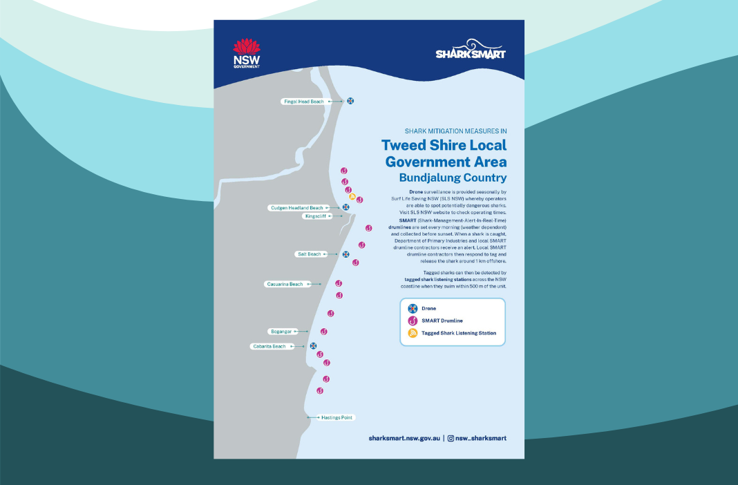 Map of Shark Mitigation Measures in Tweed LGA